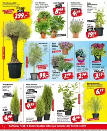 Repo Markt Prospekt woche 23 Seite 2