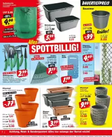 Repo Markt Prospekt woche 23 Seite 6