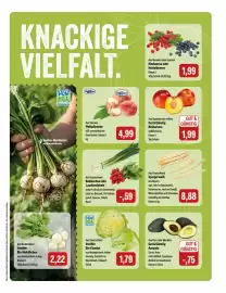 Feneberg Prospekt Seite 5