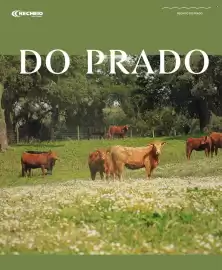 Folheto Recheio Página 6