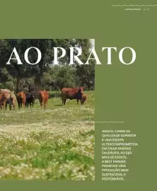 Folheto Recheio Página 7