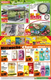 Norma Prospekt woche 24 Seite 15