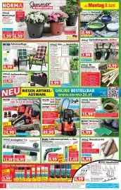 Norma Prospekt woche 24 Seite 2