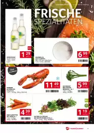 Transgourmet Flugblatt woche 24 Seite 31
