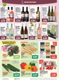 Aktiv Irma Prospekt woche 23 Seite 2