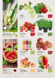 Dornseifer Prospekt woche 23 Seite 10