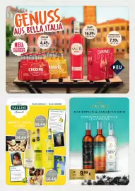 Edeka Struve Prospekt woche 23 Seite 17