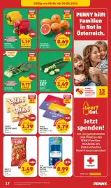 PENNY Flugblatt Seite 17