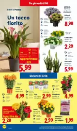 Volantino Lidl settimana 23 Pagina 32