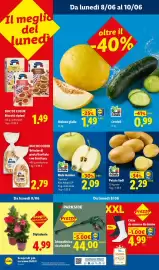 Volantino Lidl settimana 23 Pagina 48