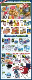 Dollar General weekly ad week 23 Page 7