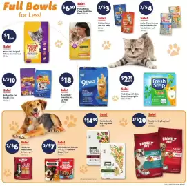 Family Dollar weekly ad week 23 Page 13