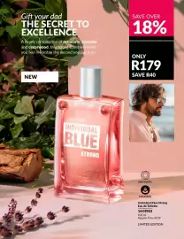 AVON catalogue Page 17