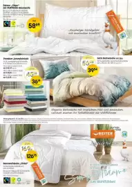 Reiter Flugblatt Seite 1