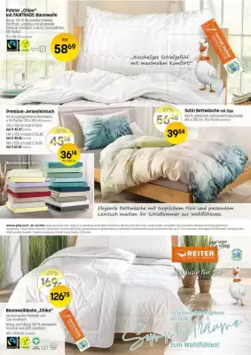 Reiter Flugblatt