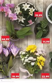 Catalog Kaufland săptămâna 23 Pagină 10
