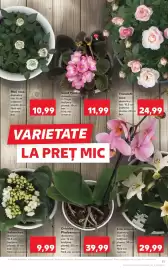 Catalog Kaufland săptămâna 23 Pagină 11