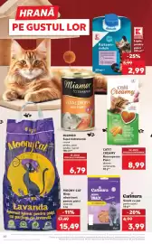 Catalog Kaufland săptămâna 23 Pagină 60