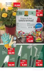 Catalog Kaufland săptămâna 23 Pagină 9