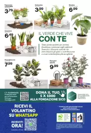 Volantino In'S Mercato Pagina 24