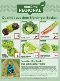 Maximarkt Flugblatt Seite 2