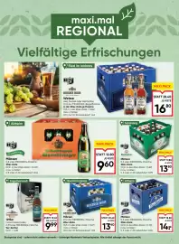 Maximarkt Flugblatt Seite 6