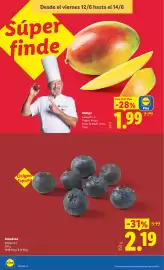 Catálogo Lidl semana 24 Página 10