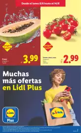 Catálogo Lidl semana 24 Página 3