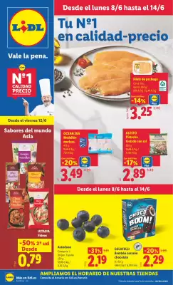 Catálogo Lidl (válido hasta el 14-06)