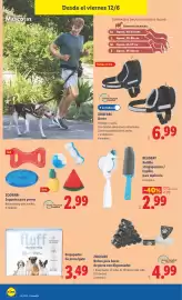 Catálogo Lidl | Bazar Página 10