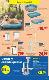 Catálogo Lidl | Bazar Página 11