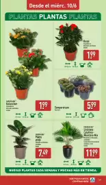 Folleto ALDI semana 24 Página 19