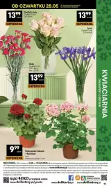 Delikatesy Centrum gazetka tydzień 23 Strona 54
