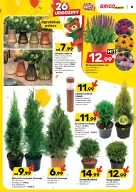Bricomarche gazetka Strona 5