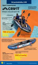 Lidl gazetka tydzień 24 Strona 10