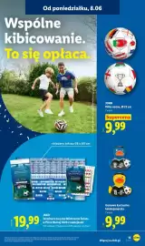 Lidl gazetka tydzień 24 Strona 17