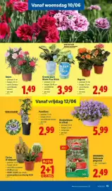 Lidl folder week 24 Pagina 15