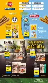 Tesco leták týden 23 Strana 33