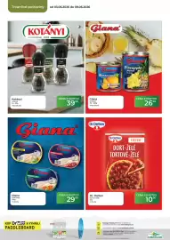 Tamda Foods leták týden 23 Strana 44