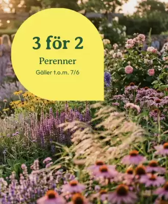 Blomsterlandet (giltig till och med 7-06)