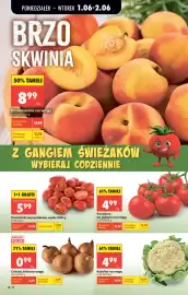 Biedronka gazetka tydzień 23 Strona 22