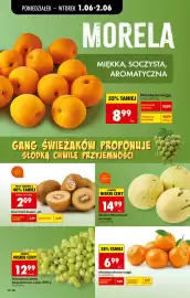 Biedronka gazetka tydzień 23 Strona 24