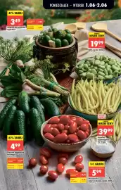 Biedronka gazetka tydzień 23 Strona 25
