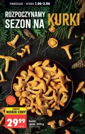 Biedronka gazetka tydzień 23 Strona 27