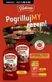 Biedronka gazetka tydzień 23 Strona 58