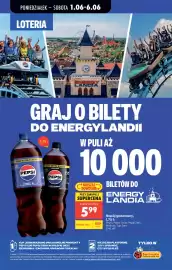 Biedronka gazetka tydzień 23 Strona 87