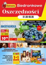 Biedronka gazetka tydzień 23 Strona 1