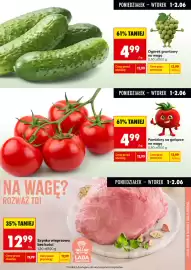 Biedronka gazetka tydzień 23 Strona 5