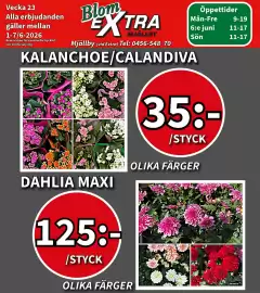 Extra Mjällby Stormarknad reklamblad vecka 23 Sida 12