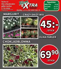 Extra Mjällby Stormarknad reklamblad vecka 23 Sida 17